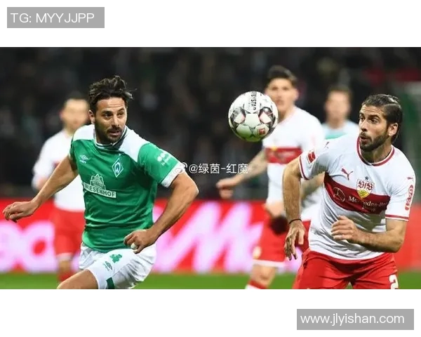 斯图加特降级危机，客负霍芬海姆形势堪忧